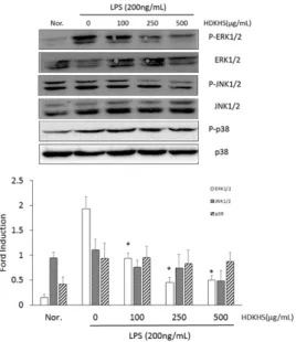 Fig.  8.  Effect  of  HDKHS  on  the  phosphorylation  (P-)  of  MAPKs  in  LPS-stimulated  RAW  264.7  cells 
