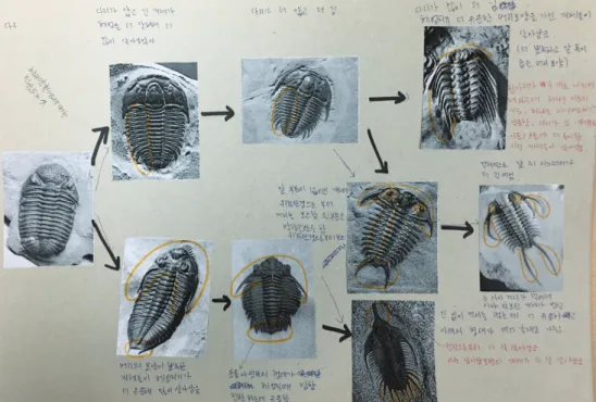 Fig. 6. Observations on the underwater life of trilobitesFig. 5. Examples of classification activities by preservice teachers