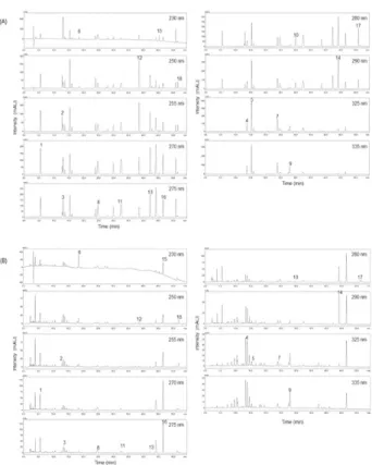 Fig.  2.  Chromatograms  of  the  18  standard  compounds  (A)  and  OGT  water  extract  (B)