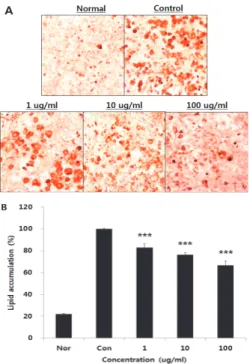 Fig.  3.  Effect  of  SWD  on  the  TG  accumulation  in  adipocyte. 
