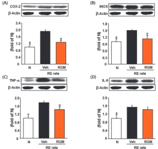 Fig.  6.  Expression  of  inflammtion-related  proteins  in  Esophagus. 