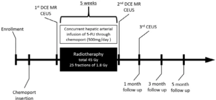 Fig. 1. Study protocol. DEC MRI and CEUS were performed  before (MRI 1  and CEUS 1 ) and immediately after CCRTx (MRI 2  and CEUS 2 )