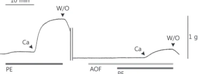 Table  6.  Effects  of  pre-treatment  of  Alpiniae  Oxyphyllae  Fructus  on  calcium-induced  contraction  of  corpus  cavernosal  strip  in  calcium  free  media.
