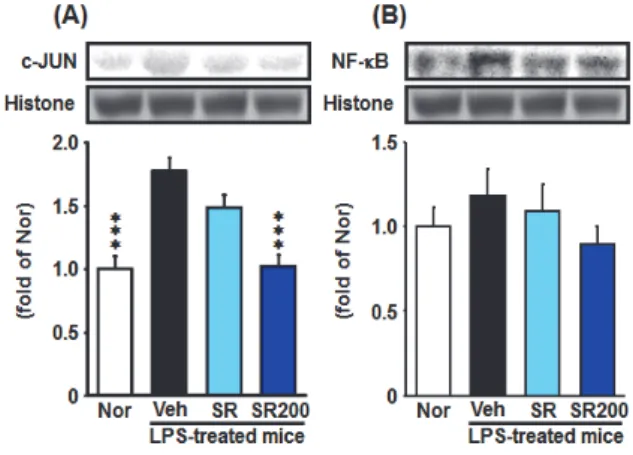 Fig.  2.  Expression  of  anti-oxidant  enzyme  in  Intestine.