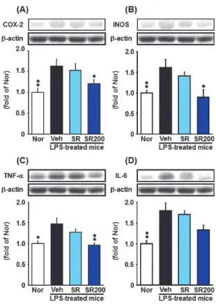 Fig.  4.  Expression  of  inflammtion-related  proteins  in  Intestine.
