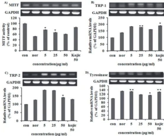 Fig.  4.  PKA  and  ERK  protein  expression  rate  of  Dioscoreae  Rhizoma   extract  on  melanoma  cell  (B16F10)