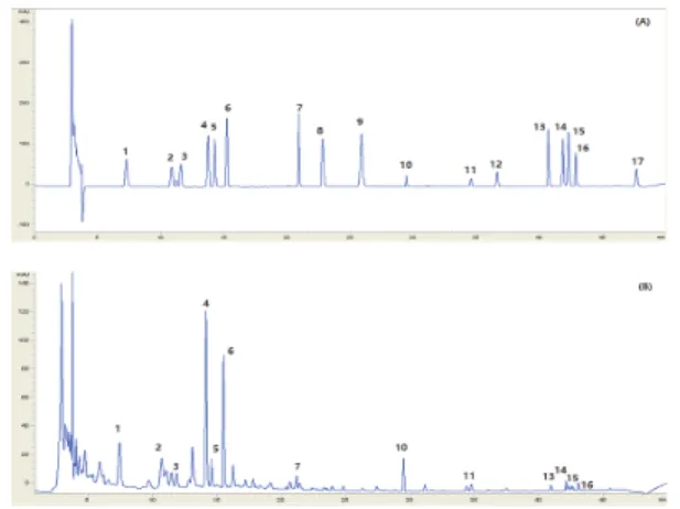 Fig.  1.  HPLC  chromatogram  of  the  standard  mixture(A),  Ojeok-san  mix  soft  extract(B)