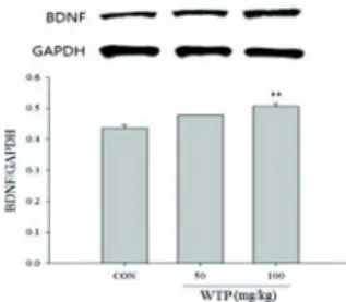 Table  1.  Effects  of  the  aqueous  extract  of  WTP  on  spontaneous  locomotor  behavior  in  mice.