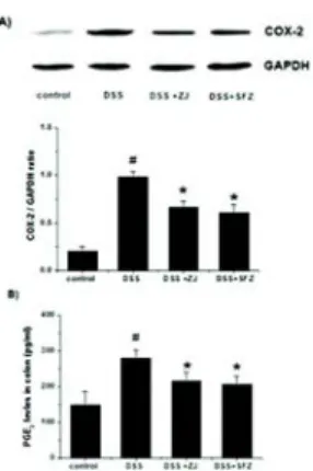 Fig.  4.  Effect  of  ZJ  on  the  level  of  COX-2  and  PGE 2   in  DSS-induced  mouse  colitis  tissue