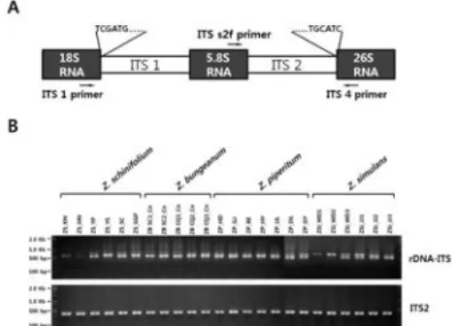 Table  2.  The  Gene  and  Primer  Sequence  Information  of  DNA  Barcodes  Used  in  This  Study.