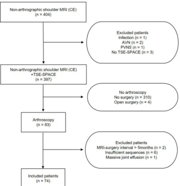 Fig. 1. Flow diagram of the study. AVN = avascular necrosis; 