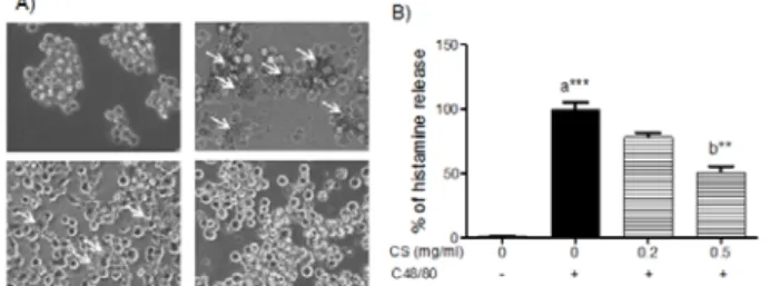 Fig  1.  Effect  of  CS  extract  on  the  cell  degranulation  and  histamine  release  in  compound  48/80-stimulated  HMC-1  cells