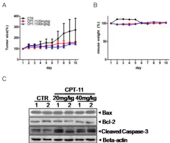 Fig.  4.  Effect  of  Herbal  combination  water  extractions  on  apoptosis  expression  in  colon38