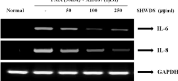 Fig.  4.  Effect  of  SHWDS  on  COX-2  mRNA  in  PMA  (50nM)  +A23187  (1µM)-stimulated  HMC-1  cells.