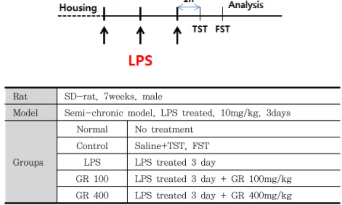 Fig.  1.  Experimental    Procedure.