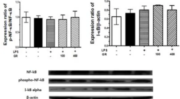 Fig.  5.  The  Effect  of  GR  on  NF-κB,  I  κB  expression  in  the  PVN  of  LPS-induced  depressive  rats.