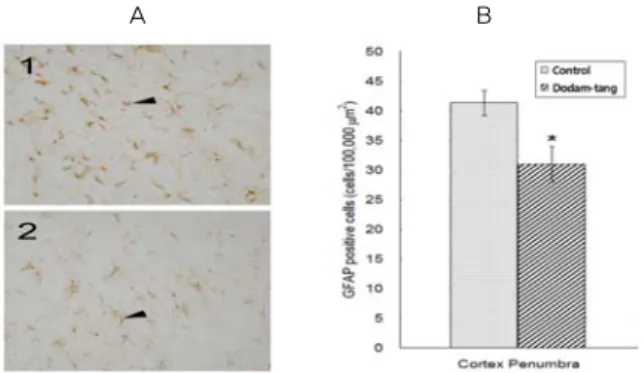 Fig.  7.  A:  Representative  GFAP  immuno-labeled  brain  sections  of  hyperlipidemic  MCAO  rats  (1;  Control-cortex  penumbra,  2; 
