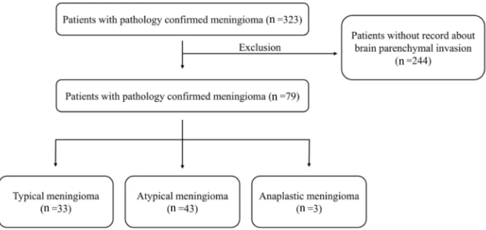 Fig. 1. Patient inclusion diagram.