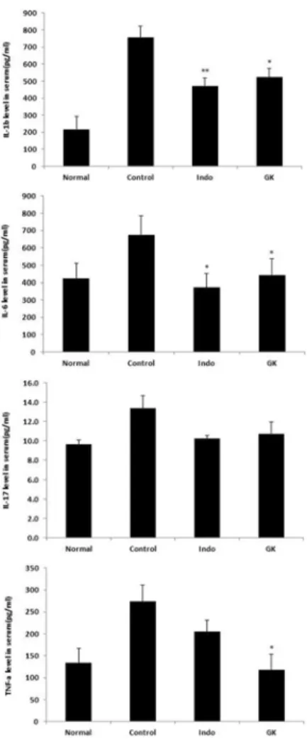 Fig.  6.  The  level  of  IL-1β,  IL-6,  IL-17  and  TNF-α  mRNA  in  spleen  from  CIA-induced  Rheumatoid  Arthritis  model  of  DBA/1  mice