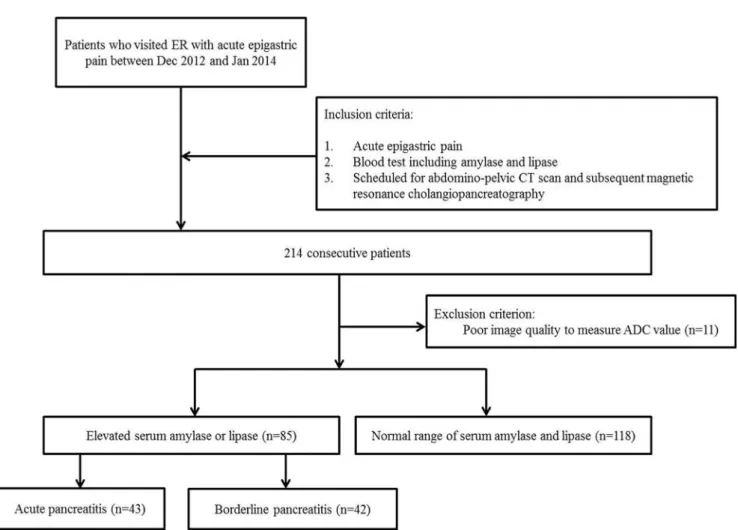 Fig. 1. Flowchart of the case accrual process.
