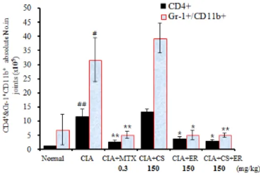 Fig.  10.  Effects  of  CS,  ER  and  CS  plus  ER    on  the  absolute  number  of  CD4 +   and  CD11 + b/Gr-1 +   cells  in  paw  joint  of  Collagen  Induced  Arthritis  Mice