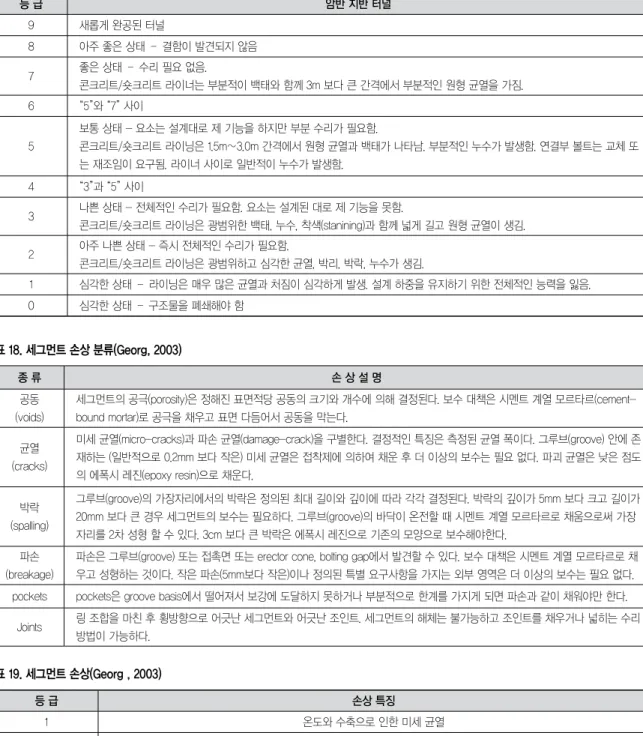 표 19. 세그먼트 손상(Georg , 2003)