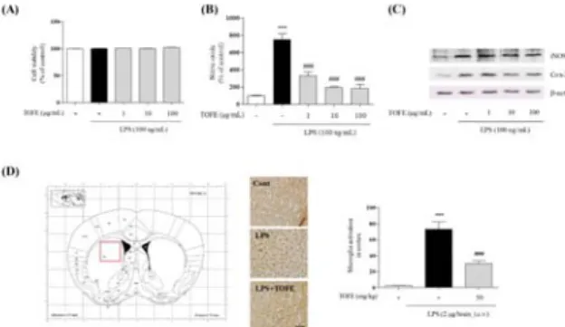 Fig.  2.  Protective  effects  of  TOFE  on  LPS  or  MPP + -induced  neuronal  damage  in  primary  mesencephalic  cell  cultures