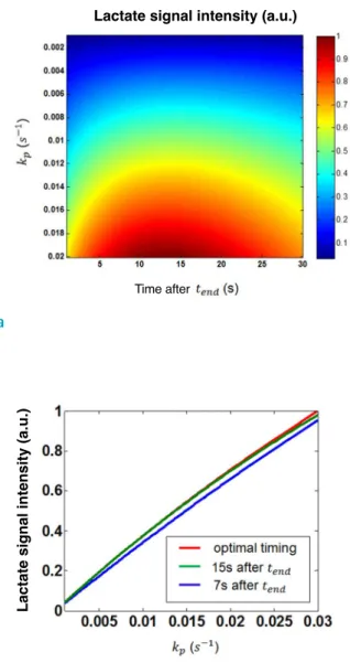 Figure 2c compares the lactate signal intensity acquired at  different scan timing for each k pyr→lac  : optimal timing, 7 s  after t end  and 15 s after t end  