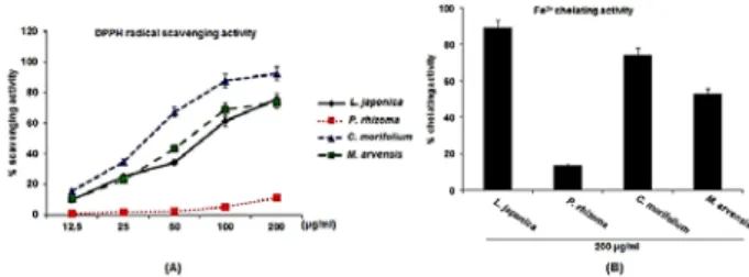 Fig.  1.  DPPH  radical  scavenging  activity  and  Fe 2+   chelating  activity  of  the  herbal  teas