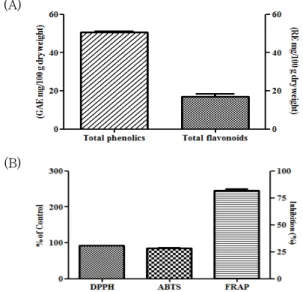 Fig.  2.  Effect  of  POE  on  cell  viabilities  in  3T3-L1  cells.  The  data  were  expressed  as  the  mean  ±  SD