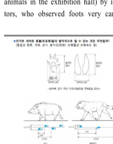 Fig.  7.  The  component  of  STEAM  :  MathematicsMathematics:  Students  at  young  age  in  this  study 