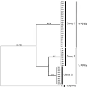 Fig.  2.  Neighbor-joining  (NJ)  tree  showing  the  relative  distance  among  branches.