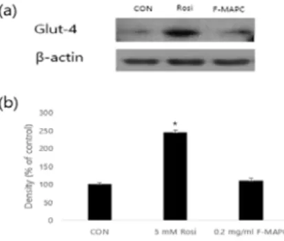 Fig.  5.  Effect  of  F-MAPC  on  Glut-4  protein  expression  in  L6  cells. 