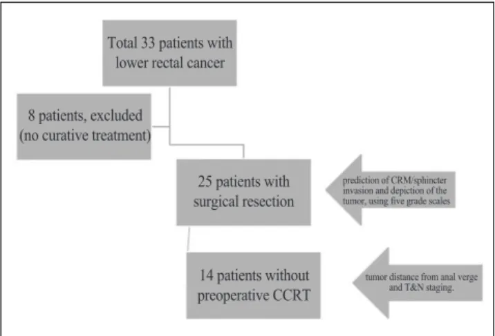 Fig. 1. Flow chart of patient selection and overall study design.