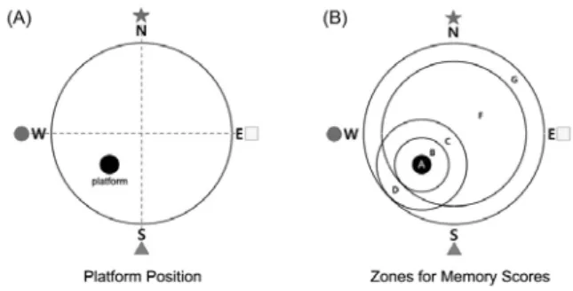Fig.  2.  Schematic  diagram  of  platform  position  in  the  swimming  pool  and  zones  for  memory  scores  in  the  retention  test.