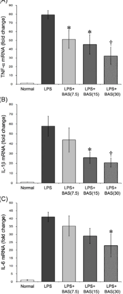 Fig.  3.  Effects  of  β-Asarone  on  TNF-α,  IL-1β,  and  IL-6  mRNA  expressions  in  the  hippocampus  tissue