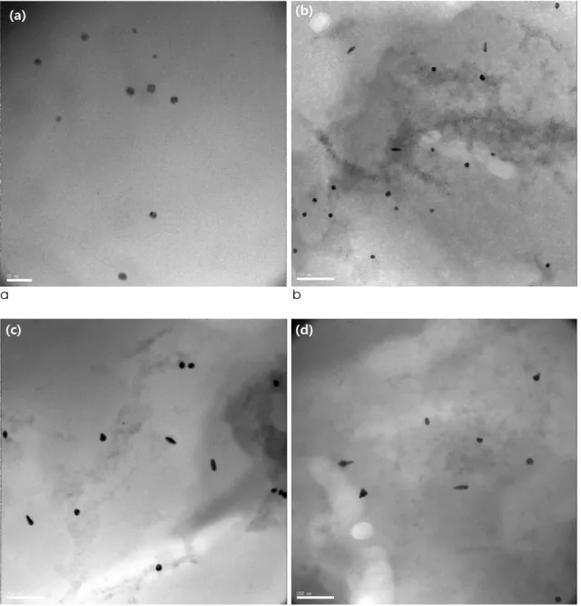 Fig. 4. TEM images of Rod type GNPs. The amounts of sphere type GNPs added are ( a ) 1 ml, ( b ) 0.25 ml, ( C ) 0.125 ml and ( d ) 0.08 ml, respectively