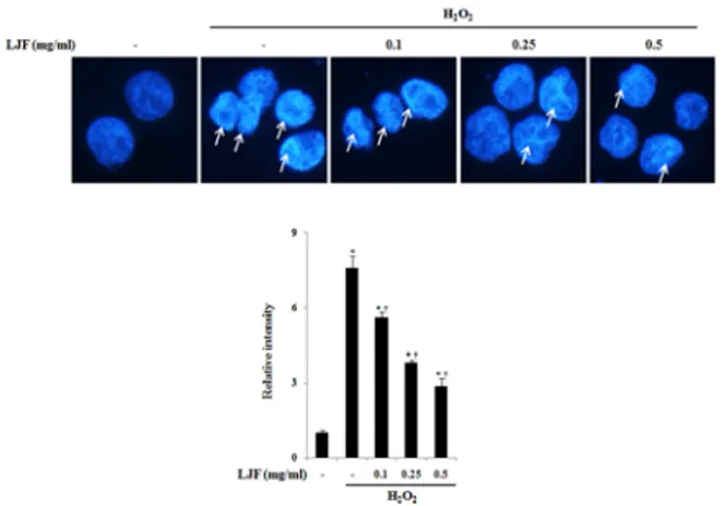 Fig  3.  The  effects  of  LJF  on  the  H 2 O 2 -induced  cell  death  in  human  keratinocyte  HaCaT  cells