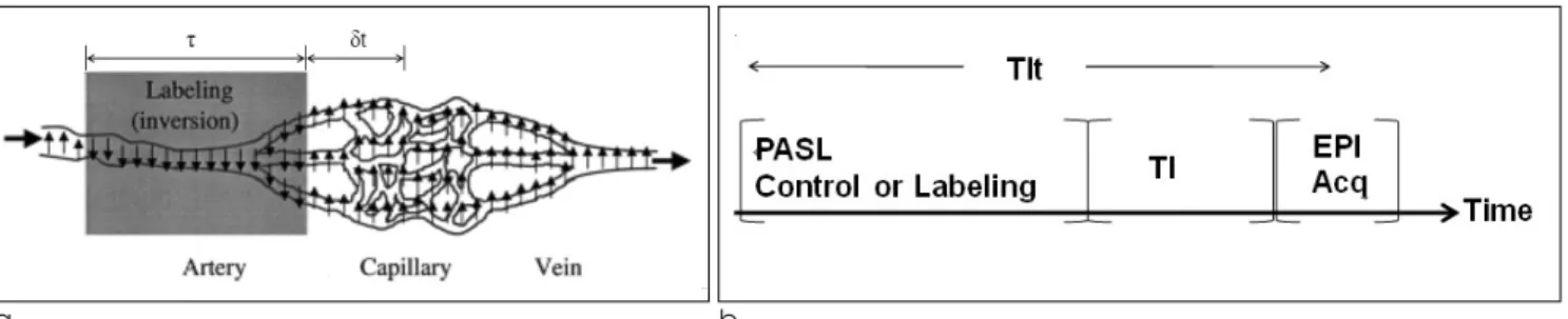Fig. 1. Schematic illustration of the labeling of the spins in the arteries (1a) and schematic of the PASL pulse sequence (1b).