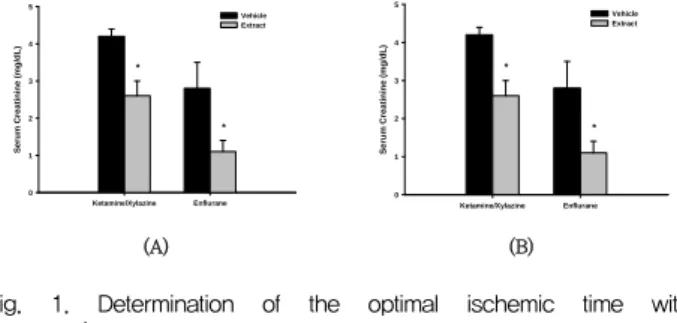 Fig.  1.  Determination  of  the  optimal  ischemic  time  with  ketamine/xylazine  anesthetization  and  ameliorating  effect  of  enflurane.