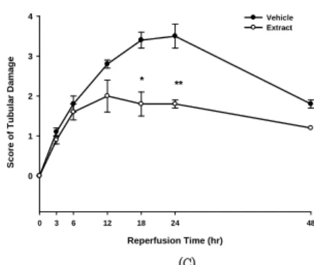 Fig.  2.  Effect  of  reperfusion  period  on  renal  function  and  tubular  damage. 