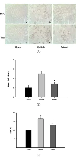 Fig.  4.  Association  of  Bcl-2  and  Bax  in  mediating  antiapoptotic  effect  of  extract  and  reduction  of  MDA  levels.