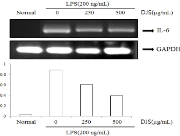 Figure  8.  Effect  of  DJS  on  LPS-induced  phospholyration  (P-)  of  MAPKs  in  RAW  264.7  cells
