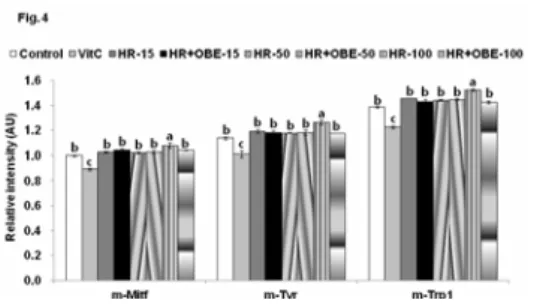 Figure  4.  Effect  of  modified  Goagium  herbal  remedies  (HR)  on  mRNA  expression  of  melanogenic  enzymes  in  B16F10  melanoma  cells