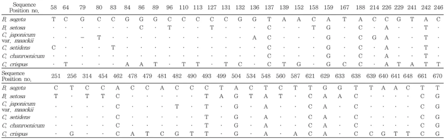 Table  2.  Summary  of  Marker  Nucleotides  based  on  Comparison  of  rDNA-ITS   Sequences  among  31  Plant  Samples  of  Breeae  and  Cirsii  Herba  in  Species  Level.