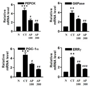Fig.  5.  Changes  of  adiponectin  levels  in  serum  on  AIN  normal  mice  and  HFD  mice