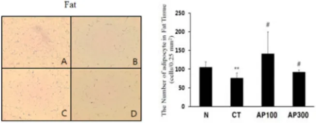 Fig.  7.  Changes  of  adipocyte  number  in  the  fat  tissue  on  AIN  normal  mice  and  HFD  mice