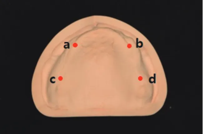 Fig. 4.  Denture base fabricated by milling method.