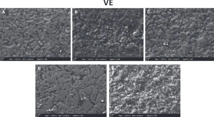 Fig. 5.  Representative SEM micrographs in order to show the surface morphology of LU (Lava Ultimate) in each  polishing group at × 4000 magnifications