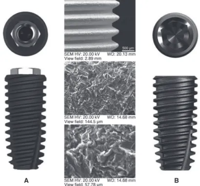 Fig. 2.  Two implants with different implant-abutment connection structures were used in this study